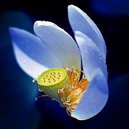 航海塔防游戏《BUCCANYAR》将于2023年4月20日发售